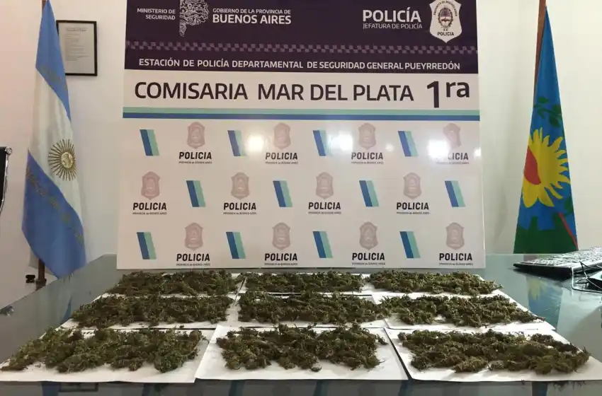 Circulaba en su auto con 260 gramos de marihuana