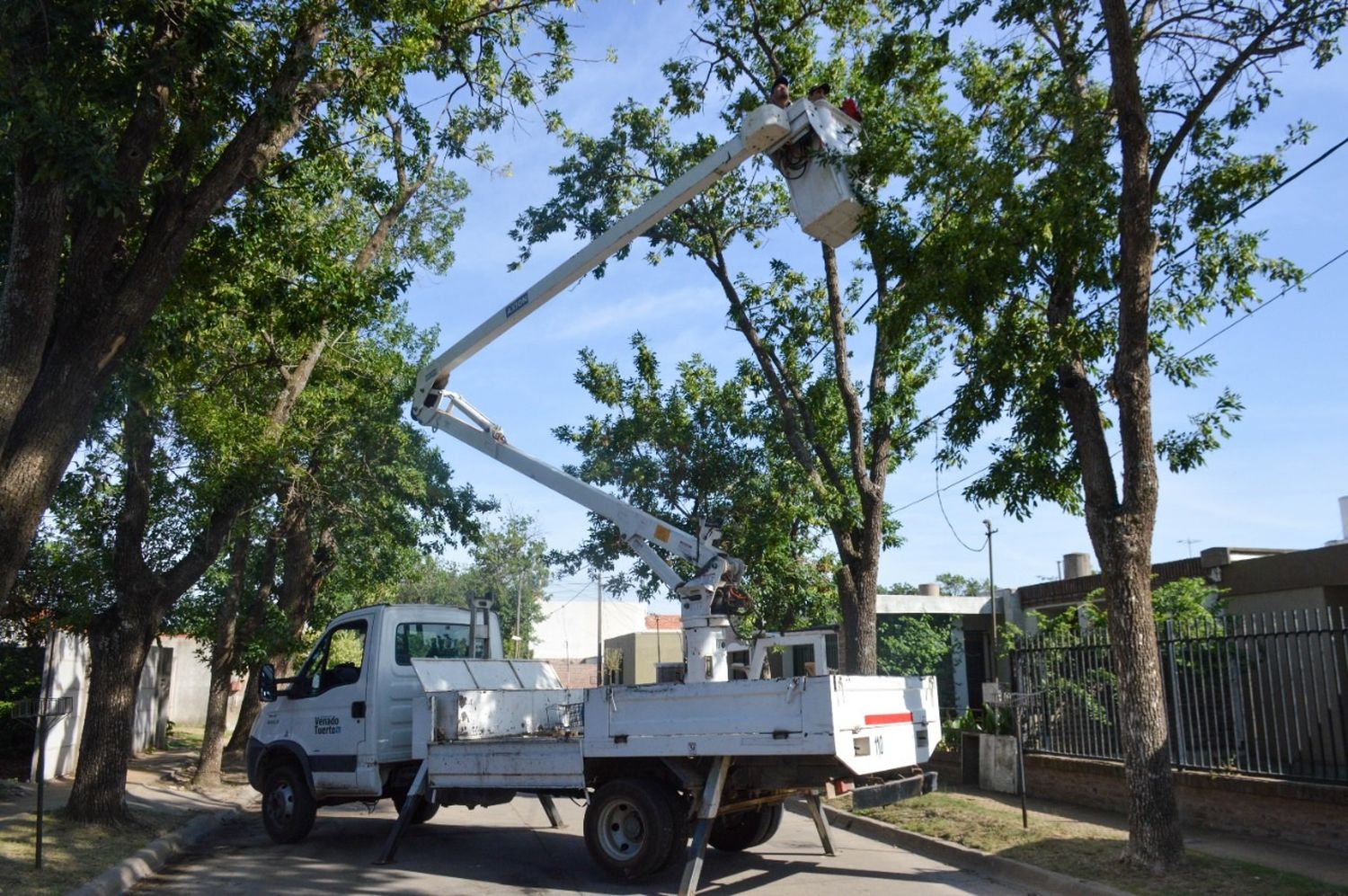 El gobierno municipal intensifica las tareas de desmalezado, poda y limpieza