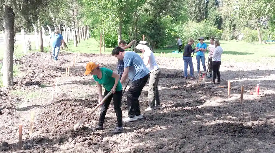 Huerta orgánica: Quince personas iniciaron la producción para autoconsumo