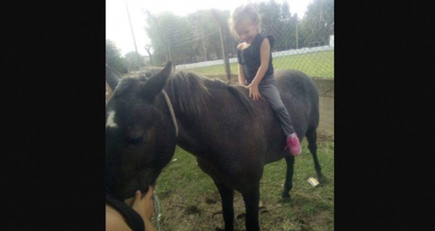 Caballo robado