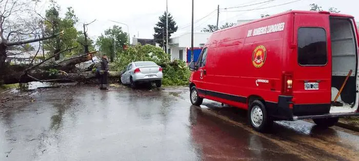 Destrozo por el temporal:  Cayó un árbol arriba de un auto