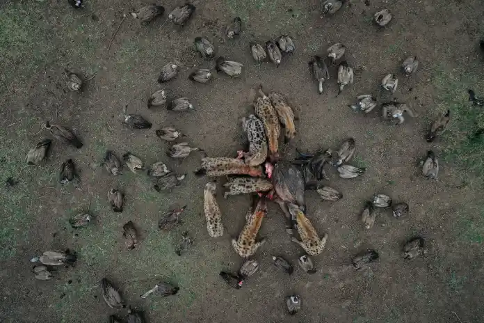 Fotos desde drones