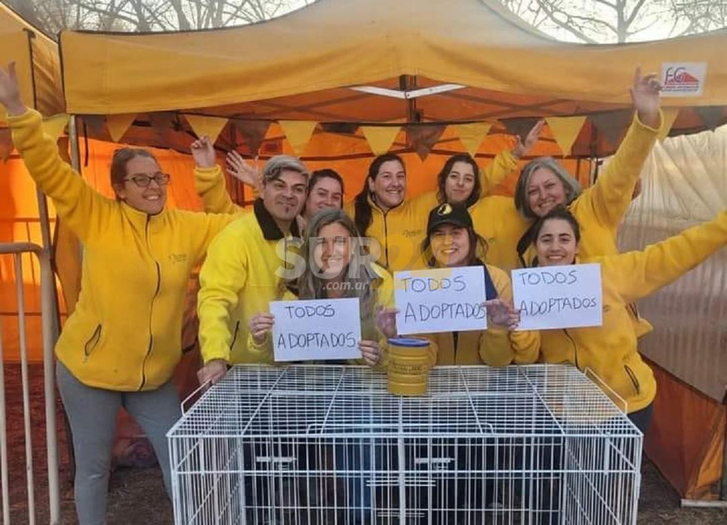 Objetivo cumplido: el Refugio Canino logró dar en adopción a todos sus cachorros en la Expo