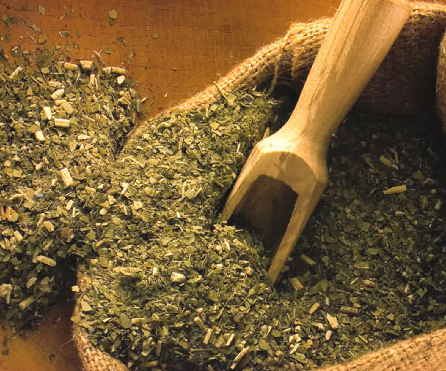 La yerba mate batiría este año otro récord de consumo