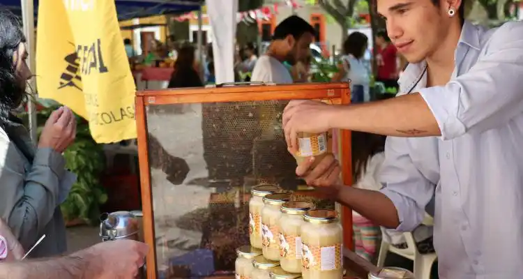 Este sábado, feria Frutos de la Tierra y el río en Plaza Constitución