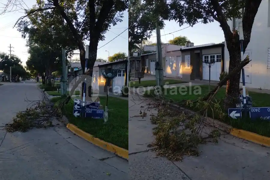 Vecinos de barrio Jardín reclaman por la rama de un árbol caída desde la tormenta