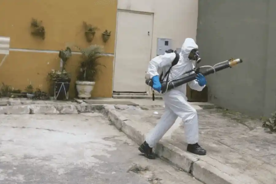 Alerta en Brasil por un brote de dengue: en lo que va del año subieron casi un 600 por ciento los casos