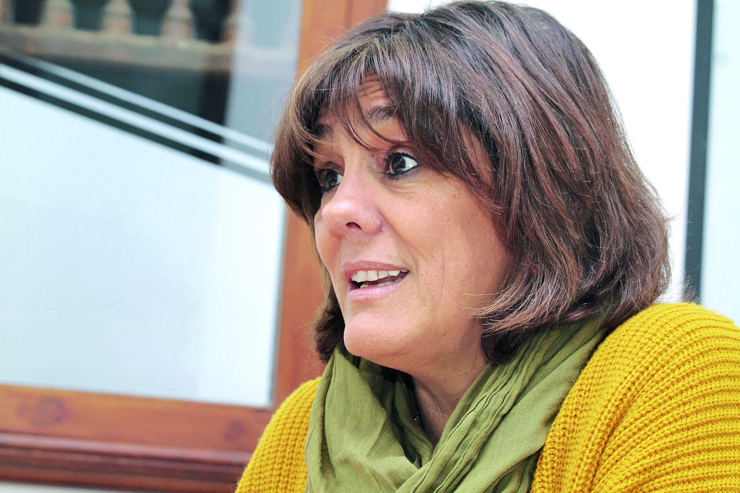 Claudia Neil: “Santa Fe necesita un ente mixto de turismo como tienen otras provincias”