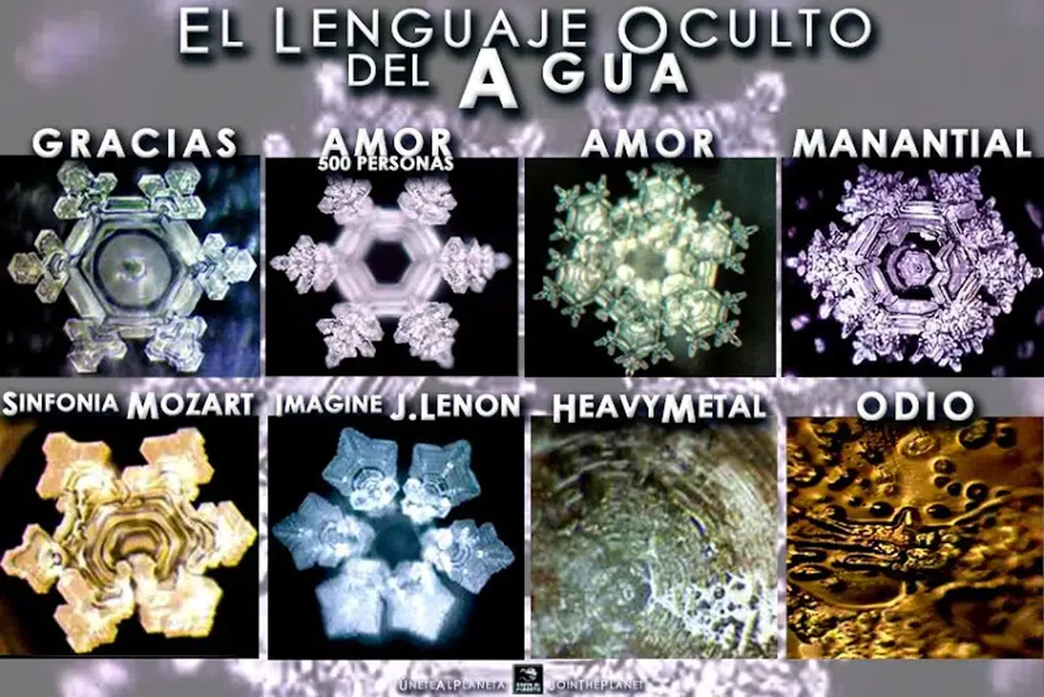 Por estas razones las palabras tienen impacto en nuestro cuerpo