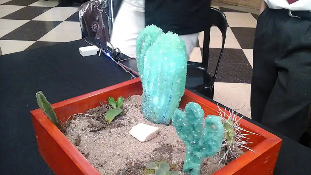 Alumnas de la Escuela Normal Superior “Victorino Viale” obtuvieron una mención especial en Concurso Nacional de Crecimiento de Cristales