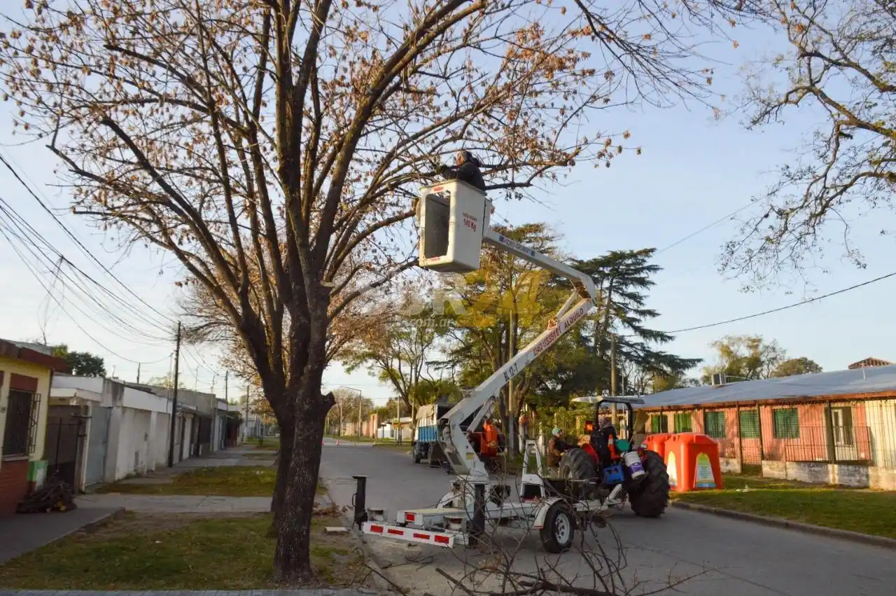 El gobierno retoma a pleno las tareas de limpieza, desmalezado y poda en los barrios