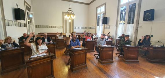 Se aprobó la regulación por animales sueltos "no urbanos" en la vía pública