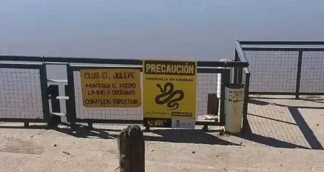 Víboras en Santo Tomé - 3
