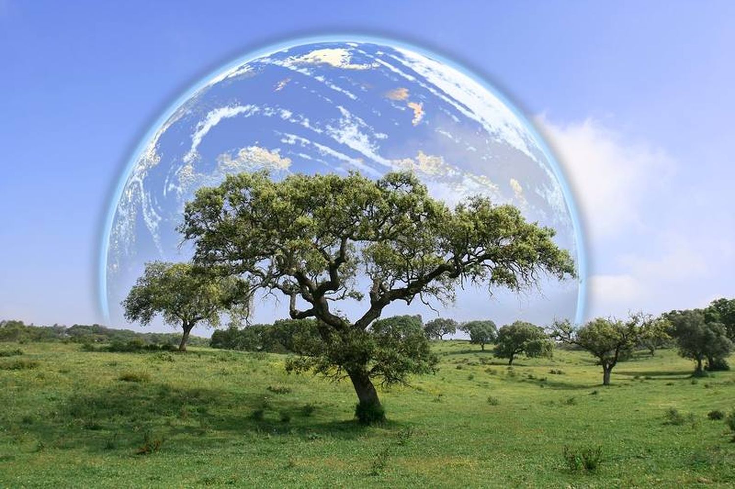 Organizaciones ambientales alertan sobre el cambio climático en la Argentina 