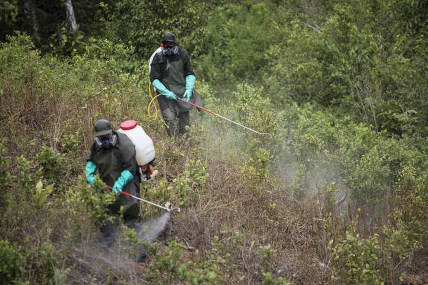 ¡COLOMBIA CERTIFICADA! Por EE.UU. en la lucha contra drogas