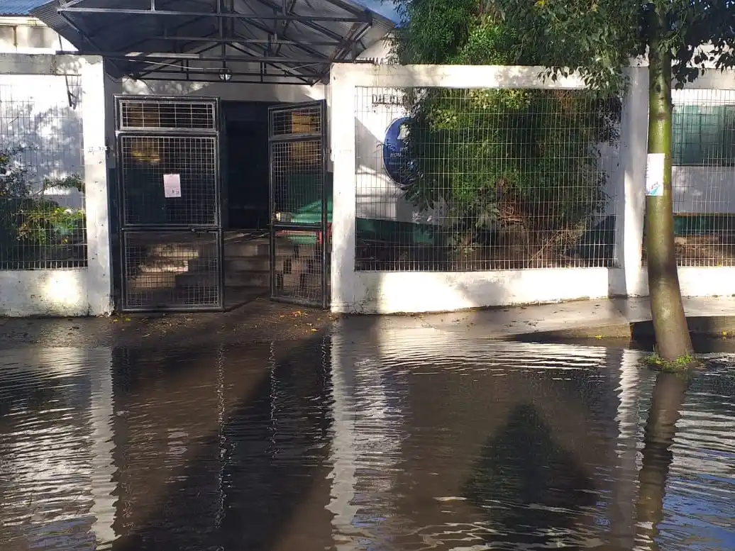 Si bien durante la madrugada se desplegaron tareas para facilitar el drenaje y asistir a vecinos, la situación en torno a la Escuela 217 evidencia que aún persisten sectores con importantes acumulaciones de agua.