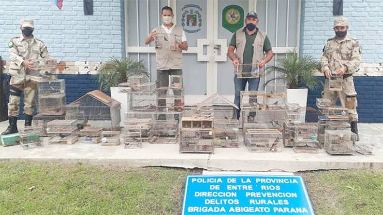 Secuestraron aves y otros animales en cautiverio y  multaron a los responsables