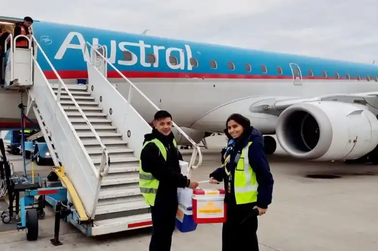 Santa Fe tuvo nueve procesos de donación de órganos en una semana