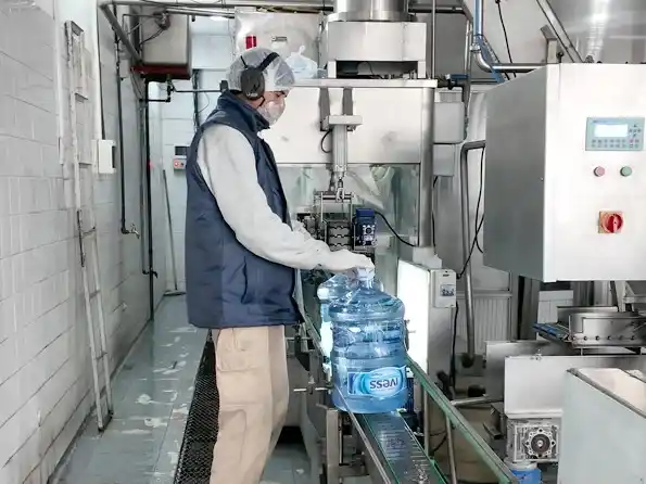 Proceso. De producción en la planta de Ivess