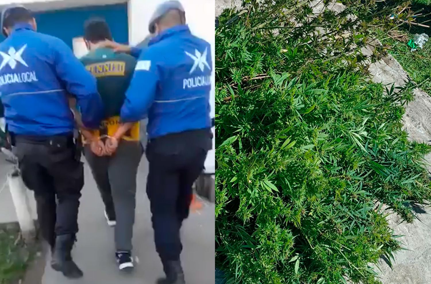 Agarró a patadas a su hija y luego atacó a su pareja