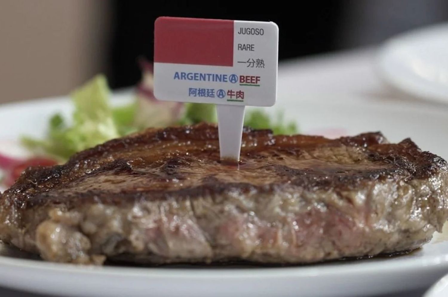 El objetivo es avanzar en las negociaciones para la apertura de mercados para la carne vacuna.