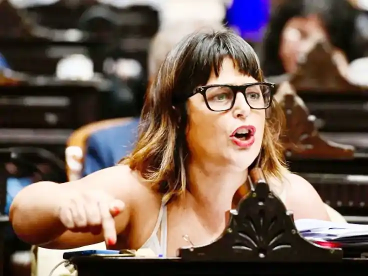 Una sola diputada entrerriana integra la Comisión Investigadora del caso $Libra