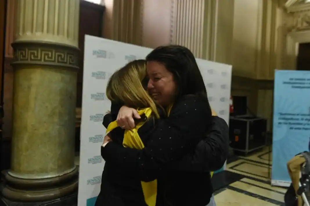 La agrupación Endohermanas Argentina celebró la media sanción del Senado bonaerense en la Ley de Endometriosis.