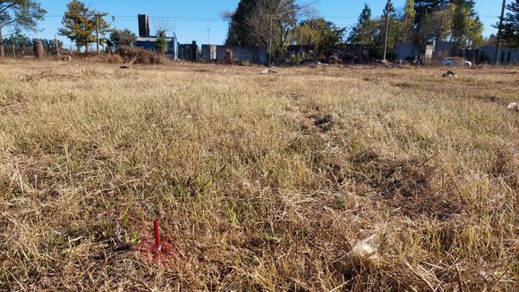 Cooperativa Independencia: así está el terreno que querían subdividir de manera irregular