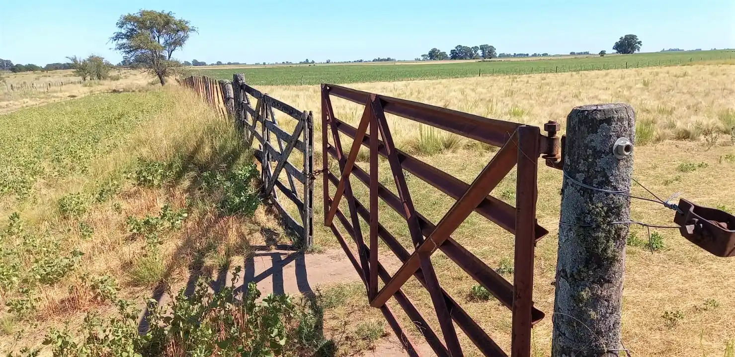 La voz del productor: Se extendió la emergencia agropecuaria y alerta por impuestos