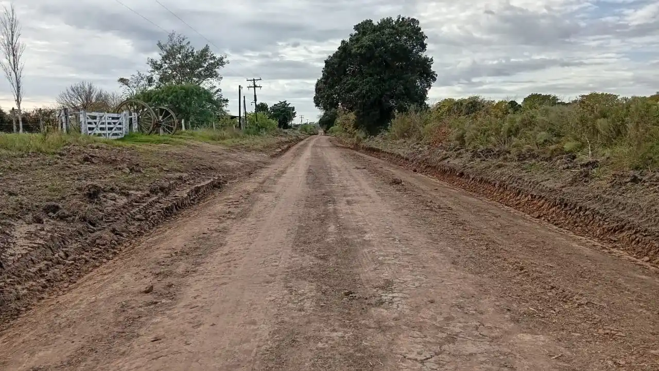 Calderón: Intensifican los trabajos de perfilado y desmonte de acacia negra
