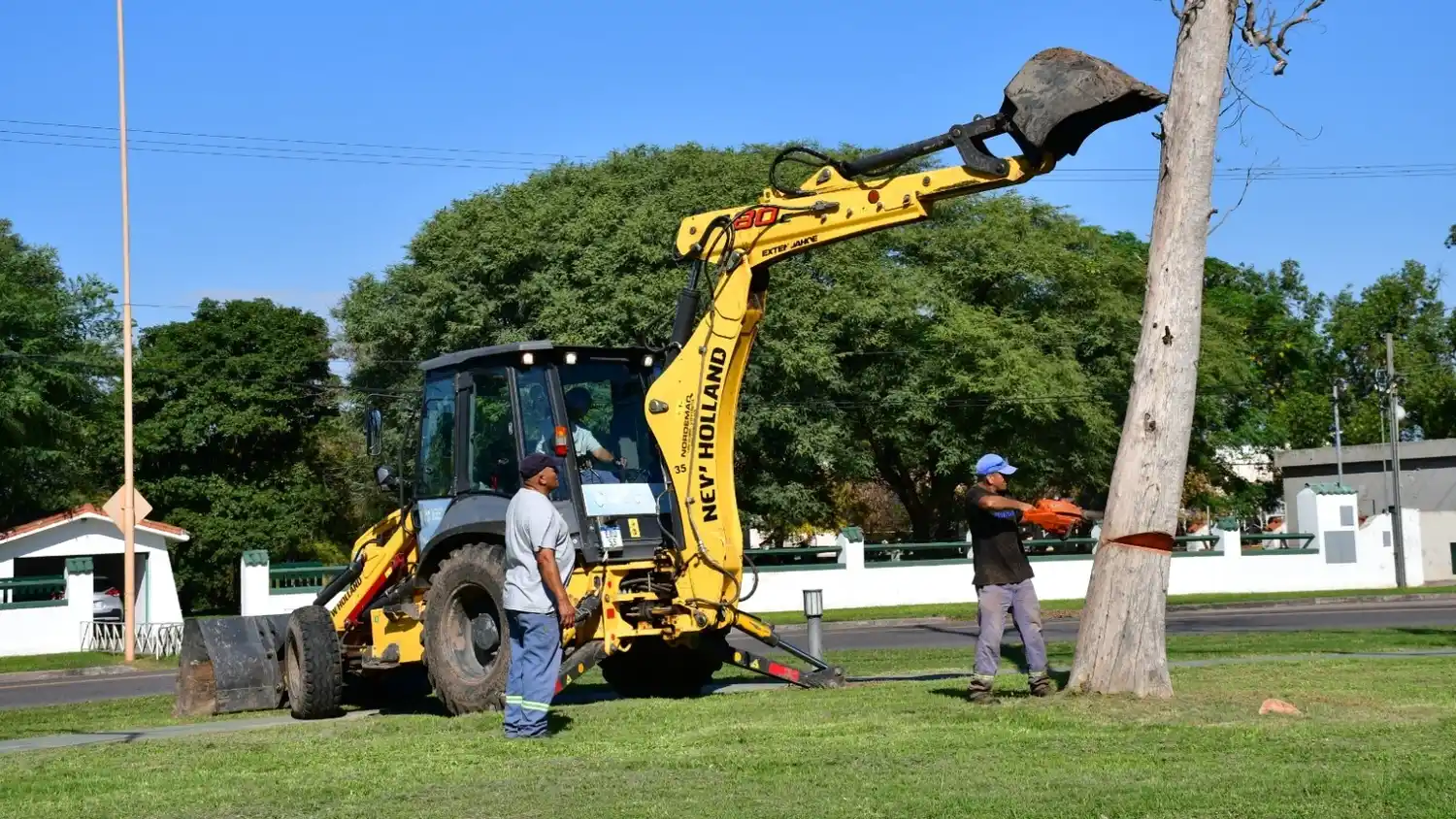 Retiraron árboles secos sobre avenida Cervantes para prevenir accidentes