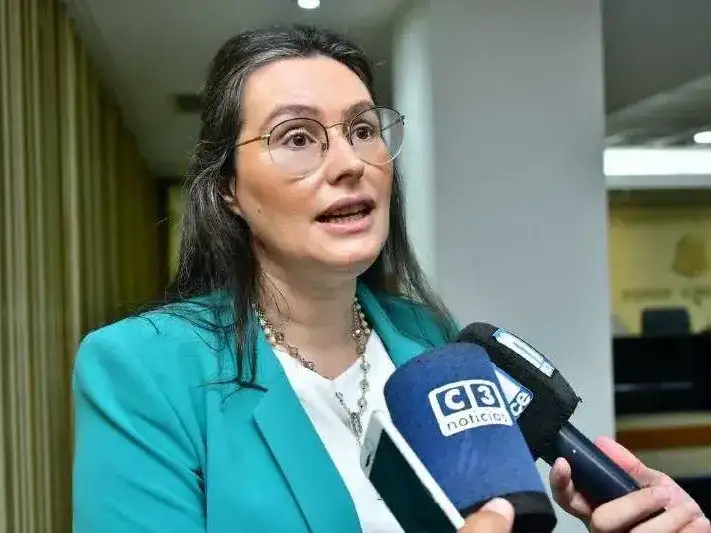 Villarruel: “La tarifa eléctrica de Formosa
es la más competitiva a nivel nacional”