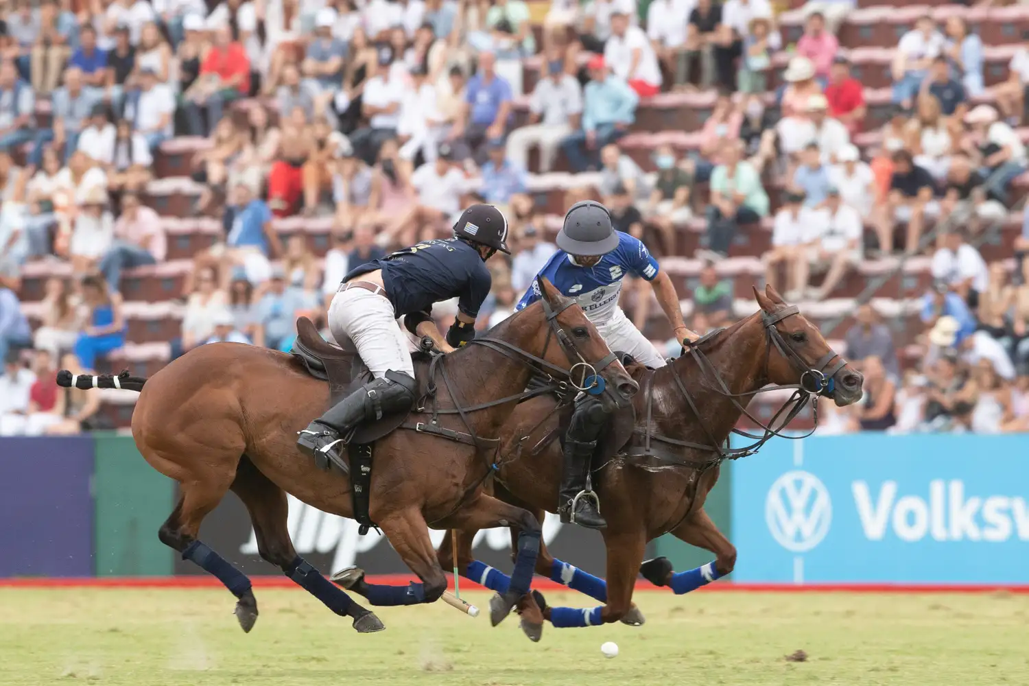 FOTO SANTIAGO YOUNG El mejor polo está en Palermo.