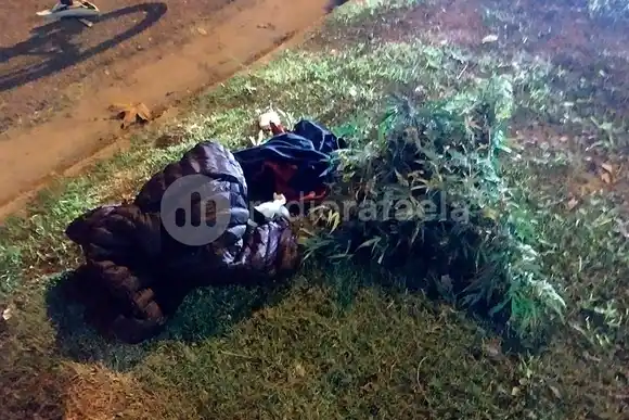 De nuevo: atraparon a menores llevando una planta “peculiar” envuelta en una campera