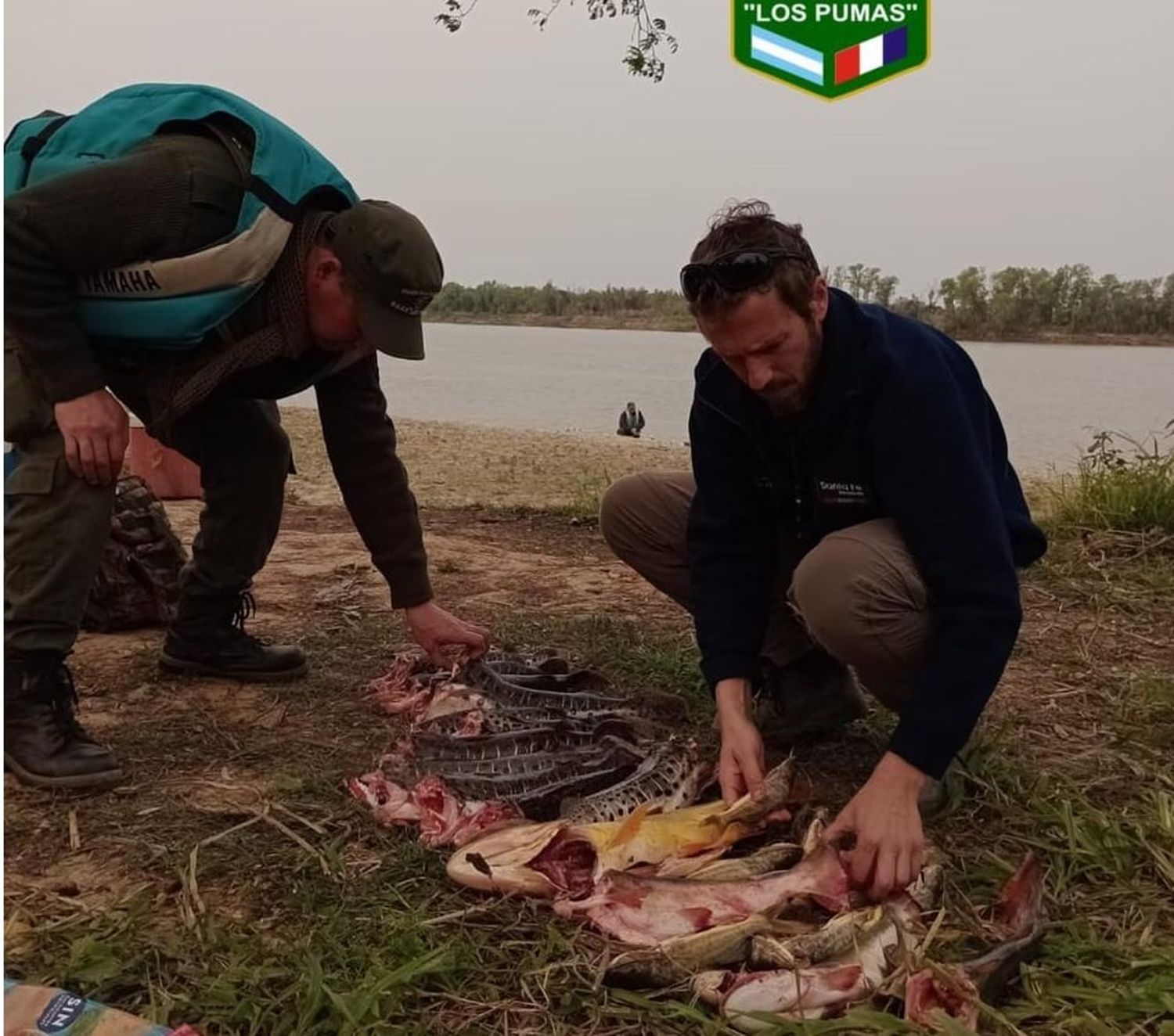 Operativos de la Guardia Rural permitió decomisar varias especies de pescados