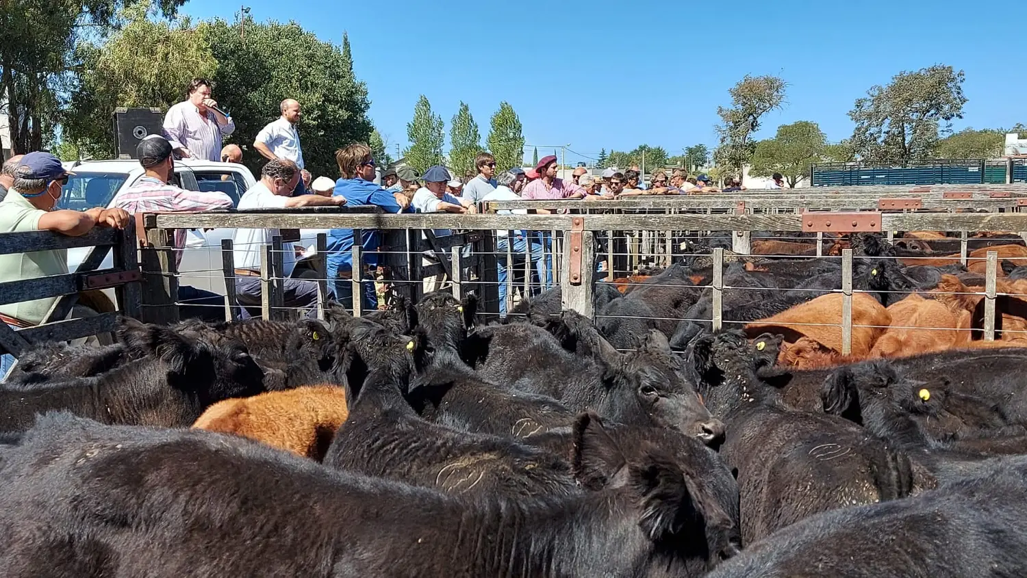 La invernada pisó fuerte en la vuelta de los Cepeda a la feria