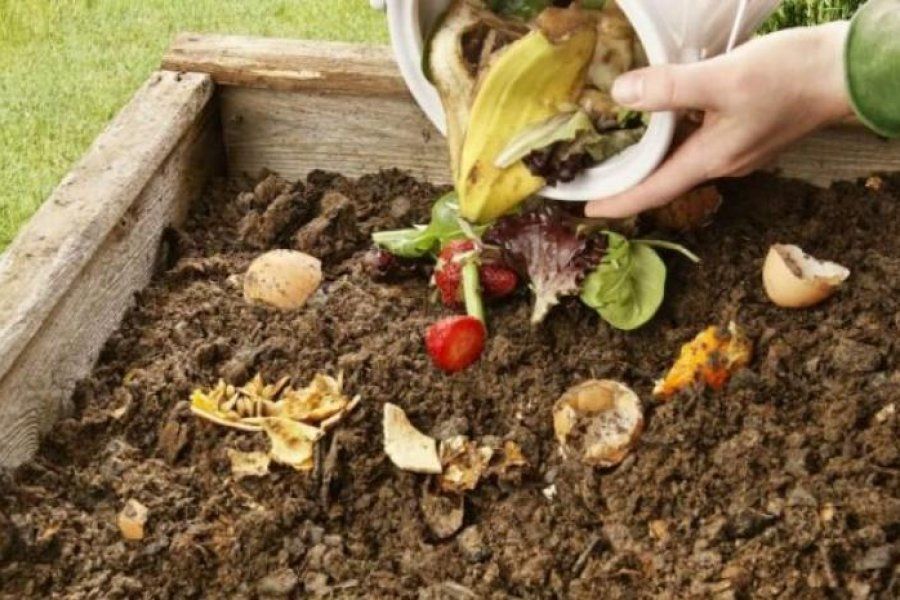 Acciones realizadas por el mes del compostaje