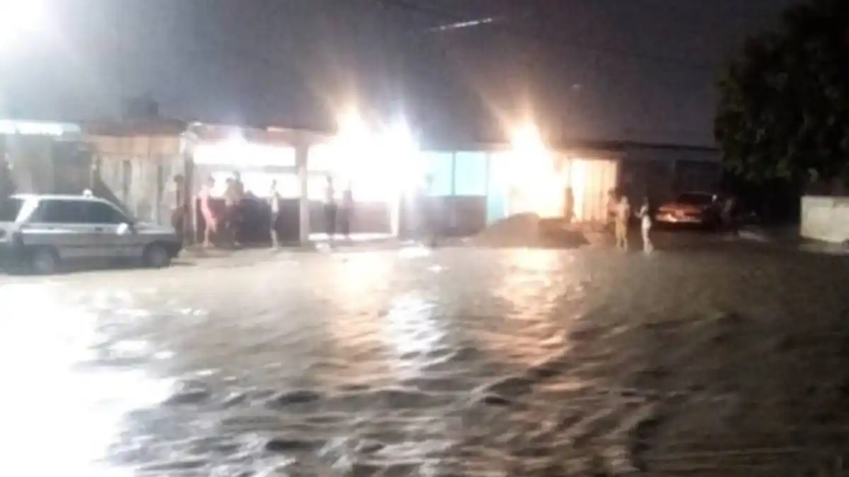 Fuertes lluvias en Barquisimeto dejan quebradas desbordadas, viviendas anegadas y árboles caídos (VIDEO)