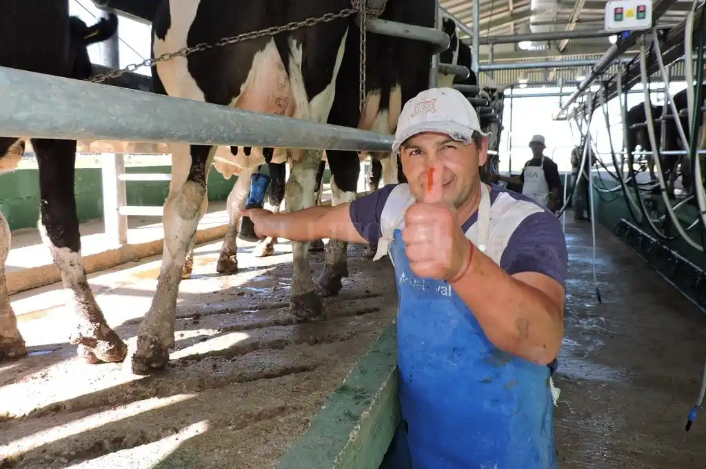 Tamberos se quedan con la porción más gorda de la torta láctea en 16 años