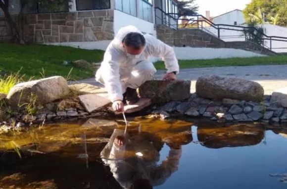 Hay 13 municipios bonaerenses con brotes de dengue declarados