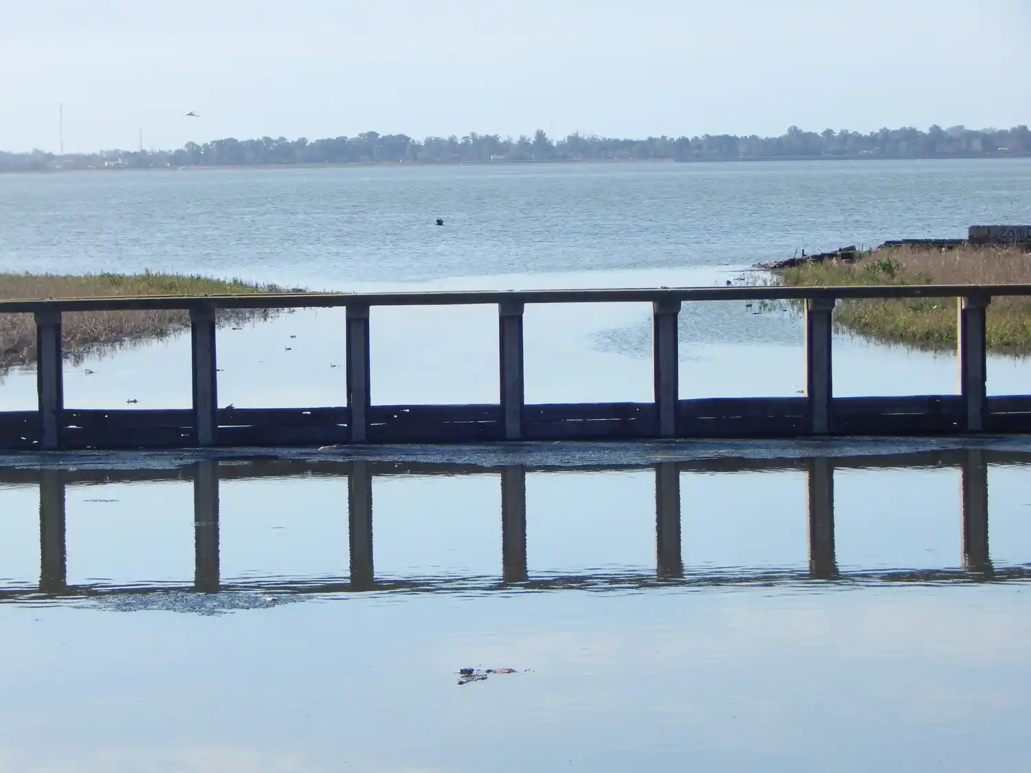 Desechos cloacales y napas contaminadas preocupa y afecta a vecinos del barrio Parque Girado de Chascomús