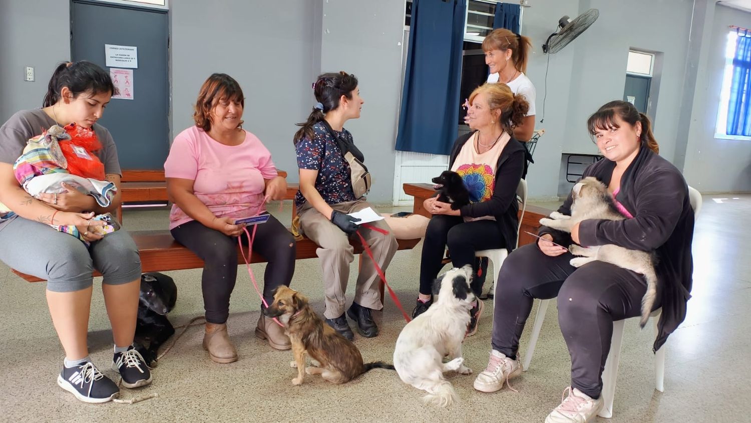 "Castraciones en tu barrio"