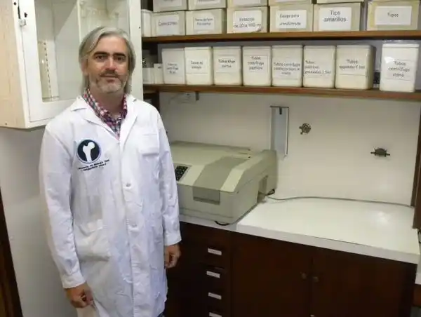 Expertos del CONICET Rosario trabajan en el desarrollo de un nuevo tipo yerba que promete beneficios para la salud ósea