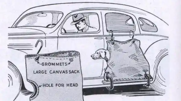 Así viajaban las mascotas en los primeros automóviles