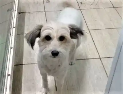 Monona ya está en su casa